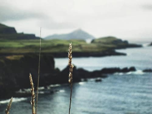 séjour linguistique, L&rsquo;expérience d&rsquo;Anna en séjour linguistique en Irlande