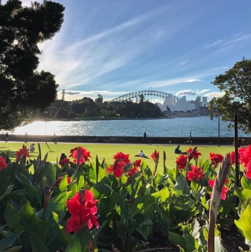 études à Sydney, L&rsquo;expérience d&rsquo;Hippolyte en semestre d&rsquo;études à Sydney