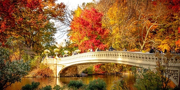 central-park-automne